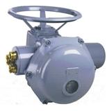 ����Bernard���{��������늄ӈ�(zh��)����