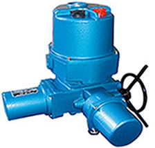 Q�����w��늄�(d��ng)�b�ó����m��