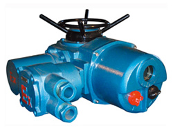 Z�����w�͸��������m��늄�(d��ng)�b��