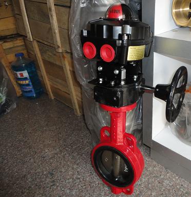 ������̖���y